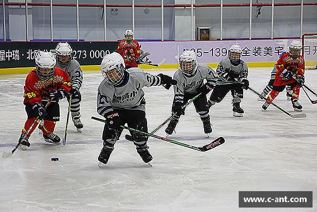 知道lewin乐玩首页